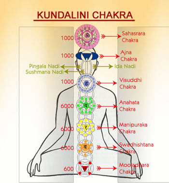 Information about Message Of God‎. Lord Balaji Divine Messages,Lord Balaji Miracles,Quotes On Lord Venkateswara